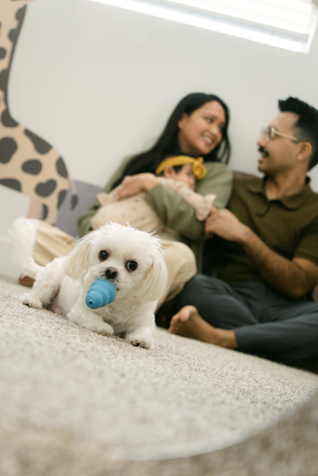 In-home Baby Milestone Family Photos | The Aslam Family