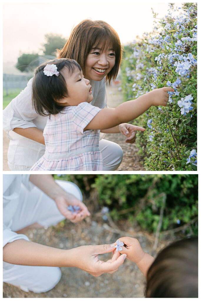 Palos Verdes Ernie Howlett Park Family Photos | The Mazuda Family