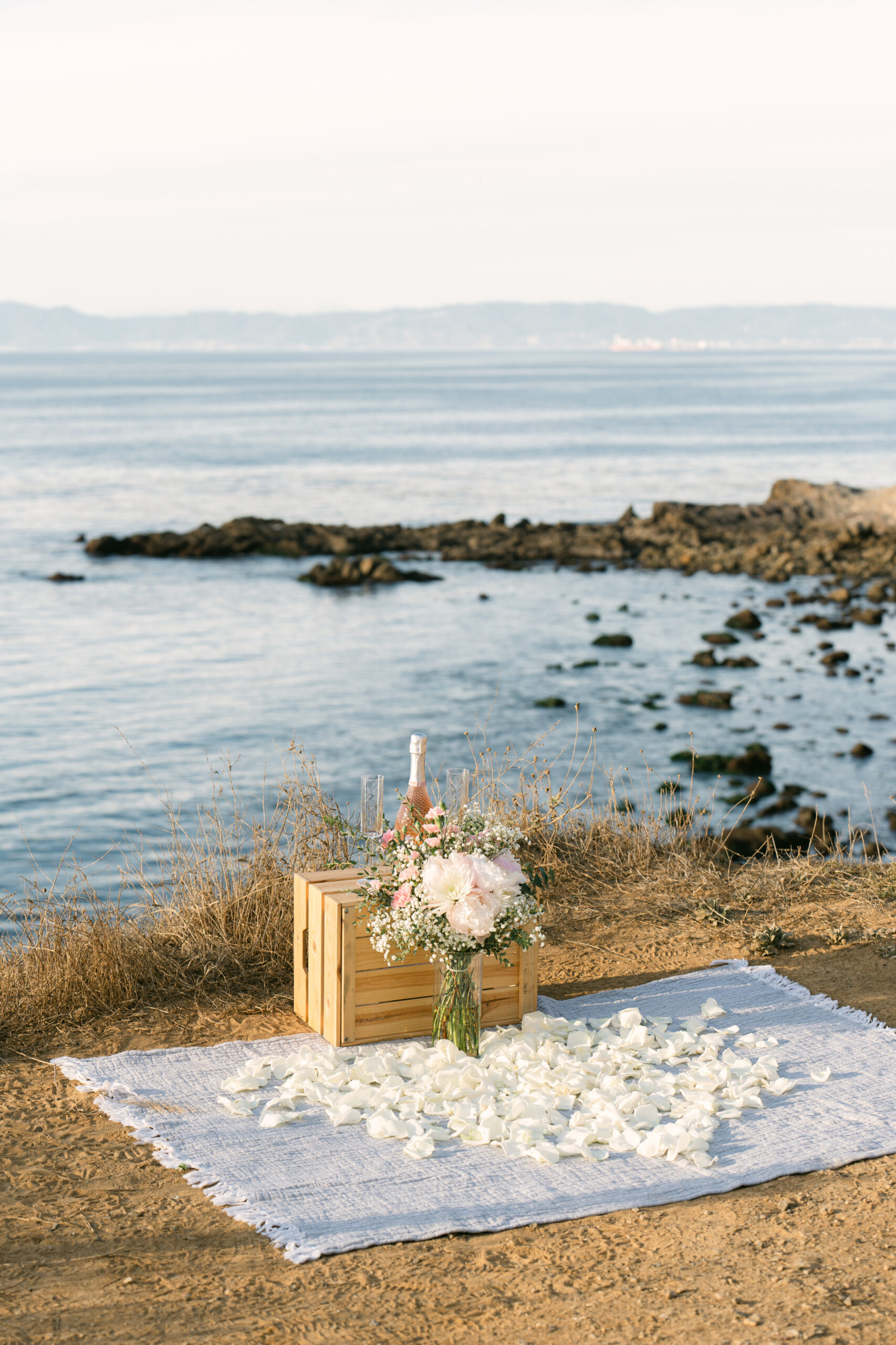 Palos Verdes Cliffs Marriage Surprise Proposal & Engagement