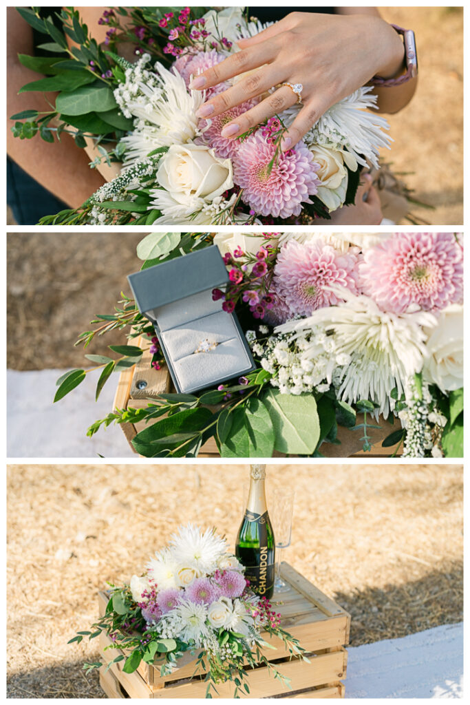 Griffith Park & Observatory Surprise Proposal & Engagement in Los Feliz | Elaine & Jordan