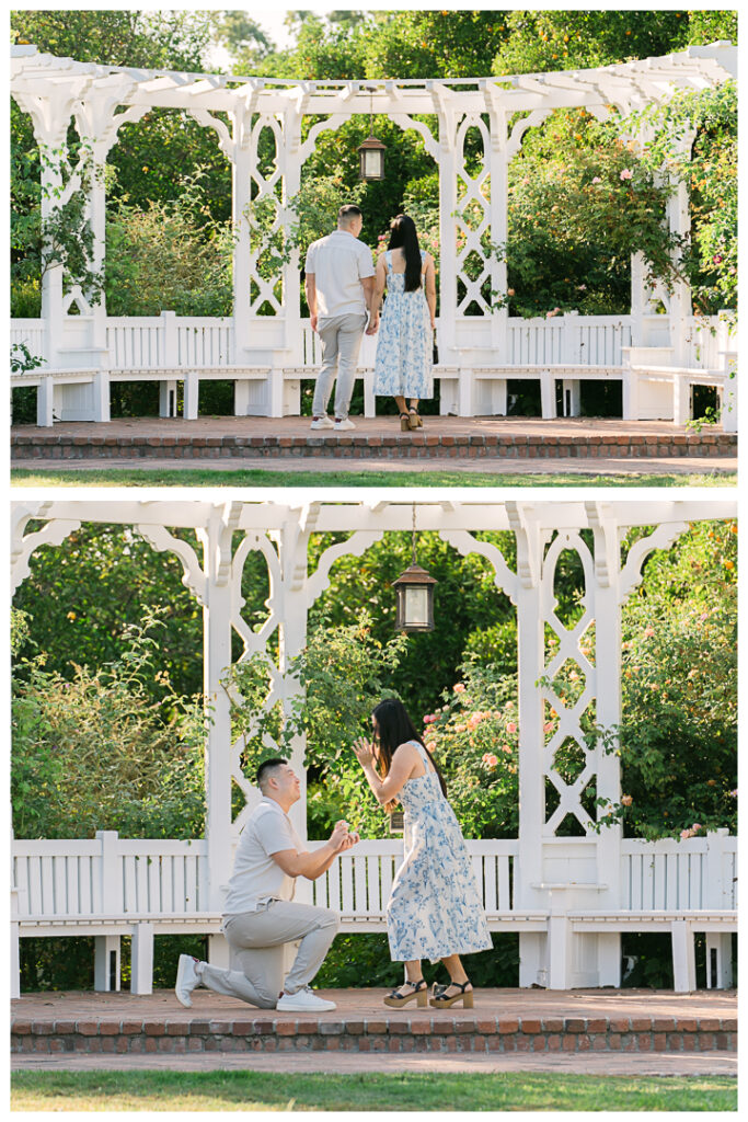 Los Angeles Arboretum & Botanic Garden Surprise Proposal