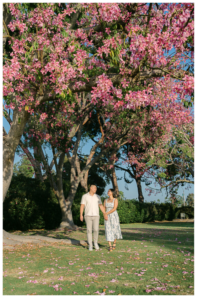 Los Angeles Arboretum & Botanic Garden Surprise Proposal