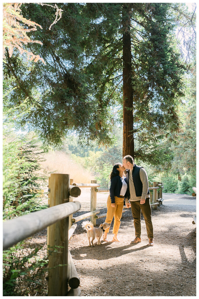 Orange County Redwood Grove in Carbon Canyon Family Photos with Pet