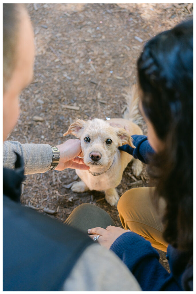 Orange County Redwood Grove in Carbon Canyon Family Photos with Pet