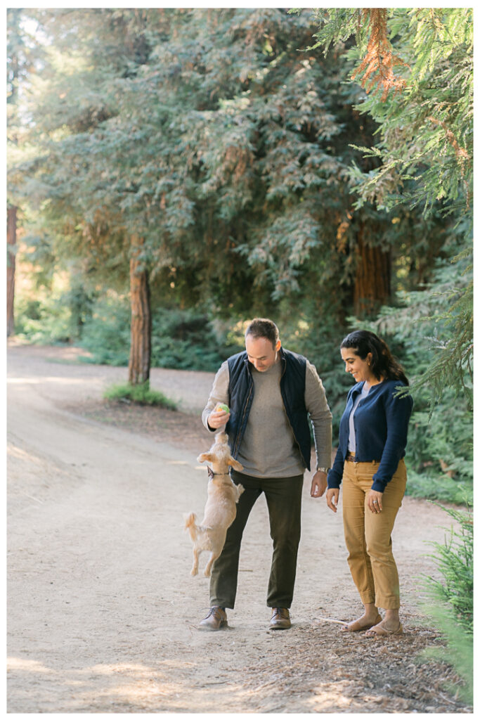 Orange County Redwood Grove in Carbon Canyon Family Photos with Pet