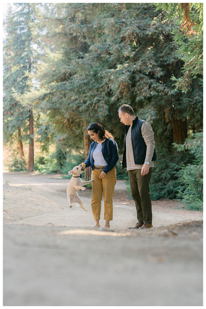 Orange County Redwood Grove in Carbon Canyon Family Photos with Pet