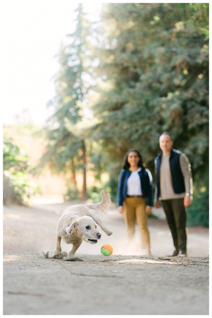 Orange County Redwood Grove in Carbon Canyon Family Photos with Pet