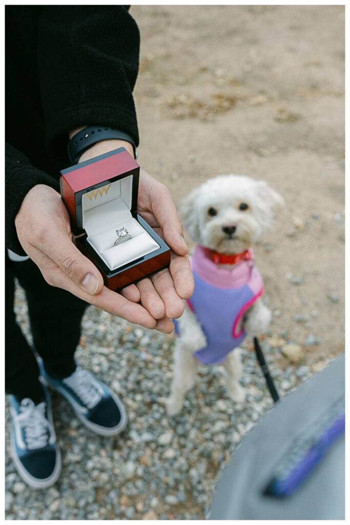 Big Bear Postcard Cabin Surprise Proposal & Engagement