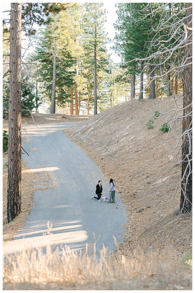 Big Bear Postcard Cabin Surprise Proposal & Engagement