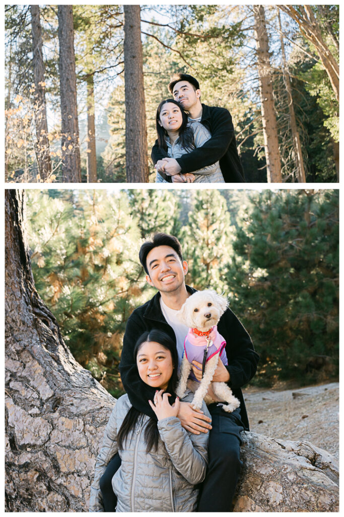 Big Bear Postcard Cabin Surprise Proposal & Engagement