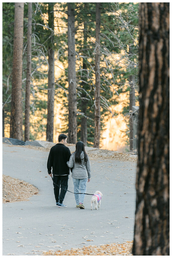 Big Bear Postcard Cabin Surprise Proposal & Engagement