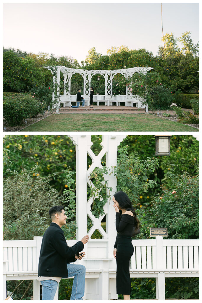 Los Angeles Arboretum & Botanic Garden Surprise Proposal & Engagement Photo Session