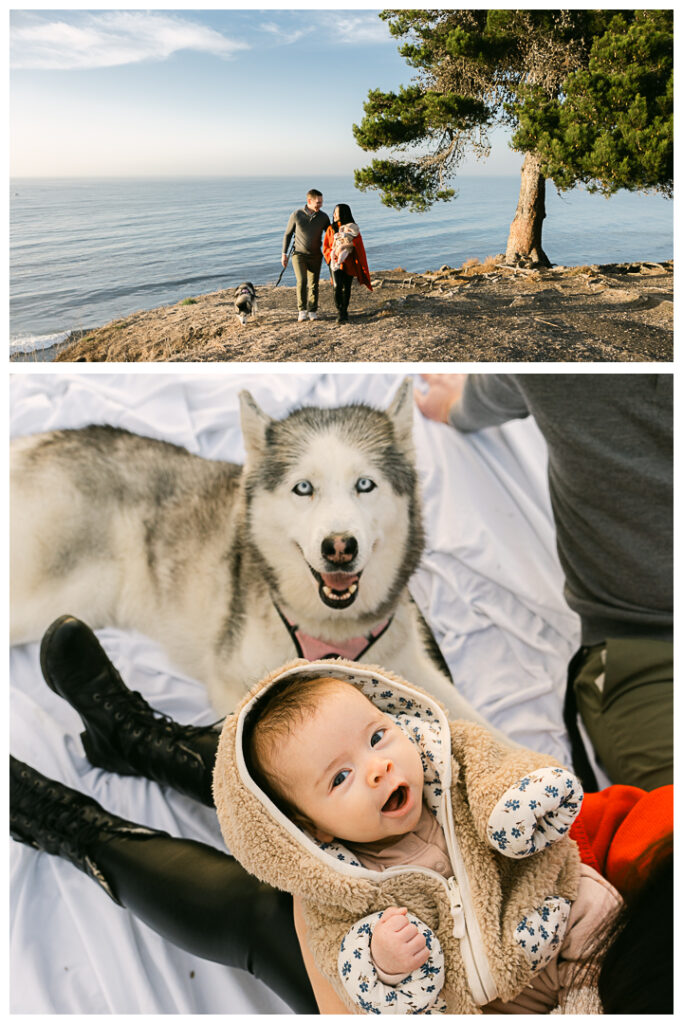 Palos Verdes Estates Cliffs Newborn and Family Photos