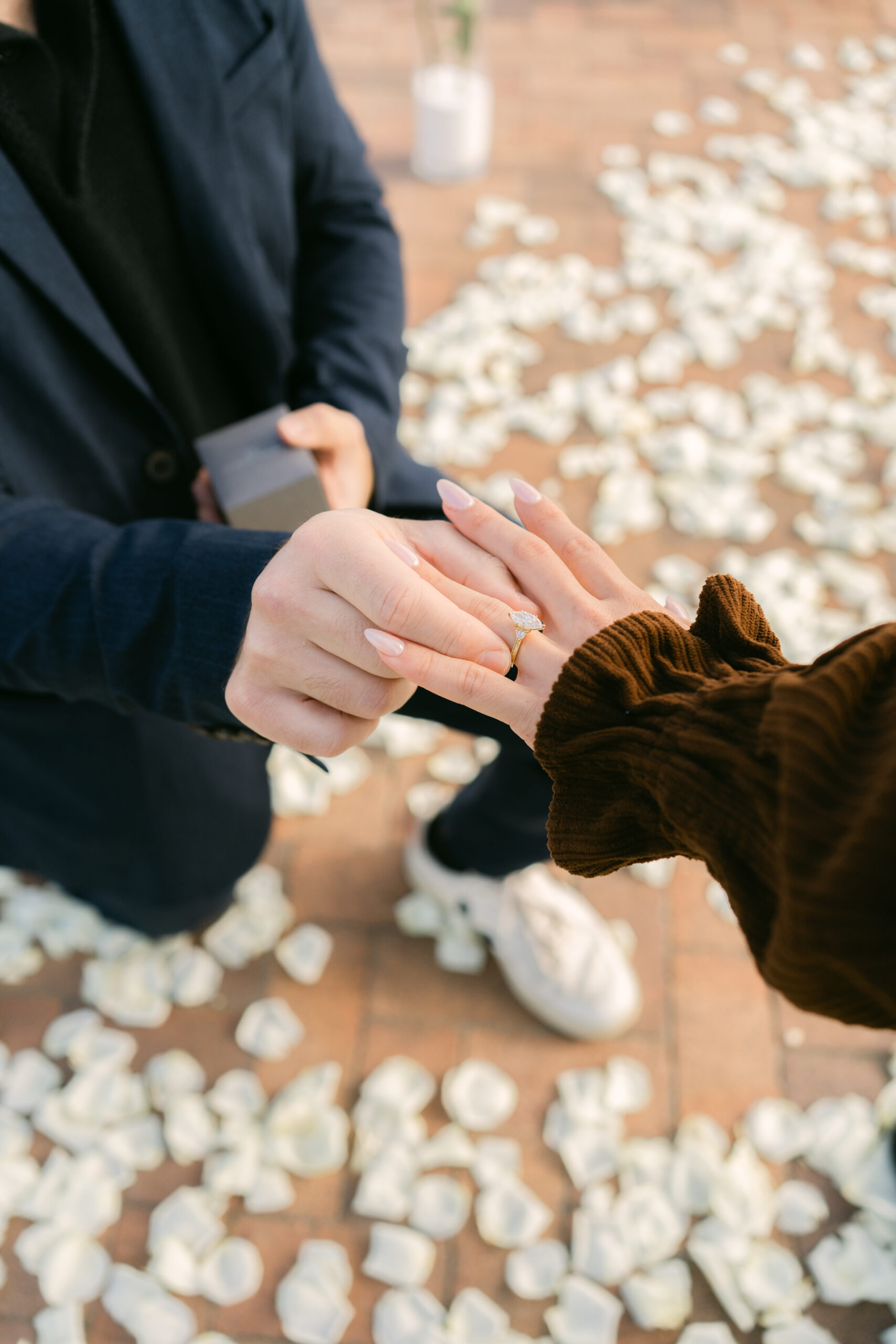 romantic cliffside surprise proposal in Palos Verdes at sunset