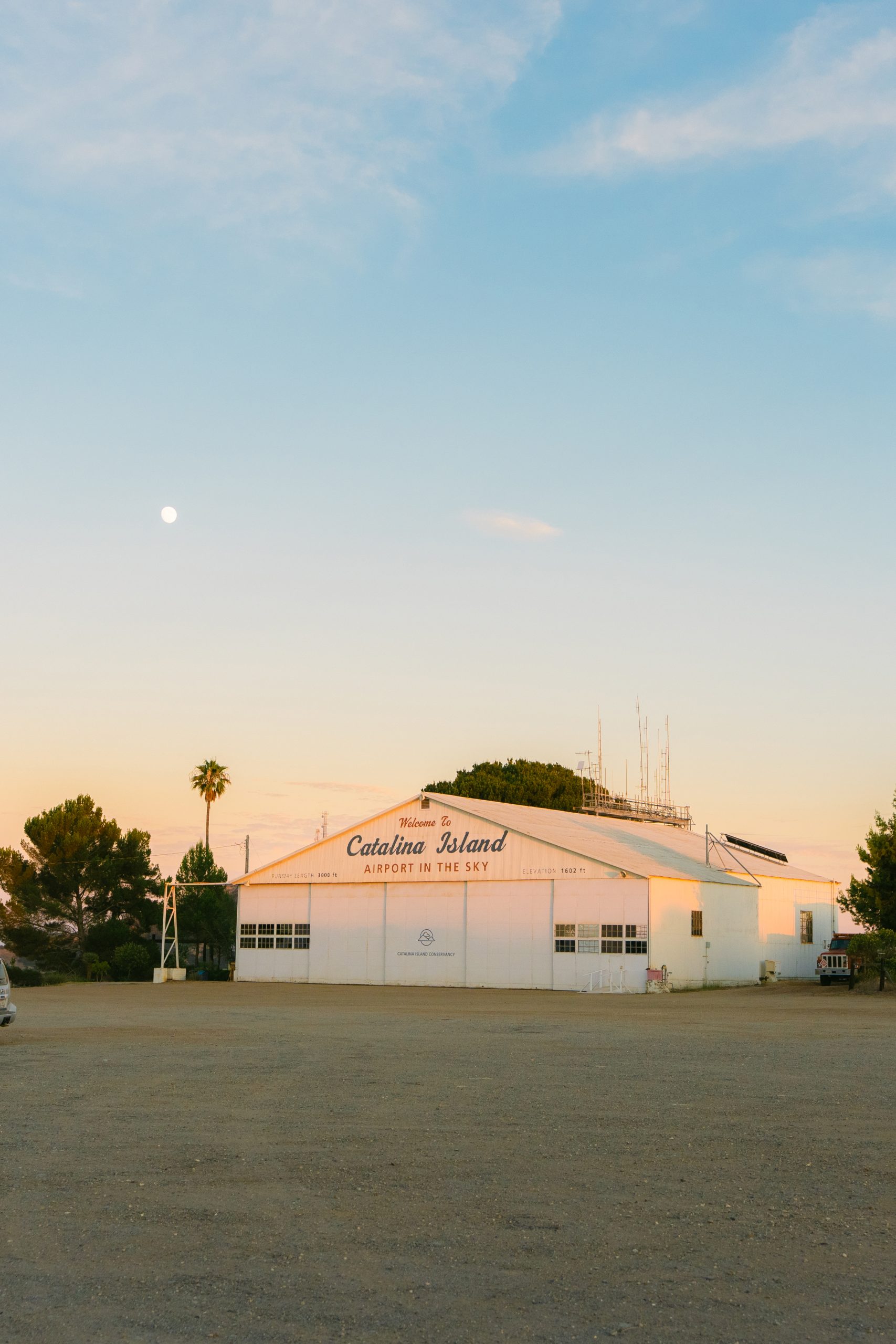 How to Elope on Catalina Island: Five Ways to Get Married 26 Miles from the Mainland