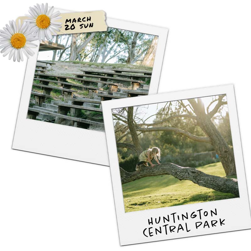 Spring Mini Session with Stephanie Ip Photography