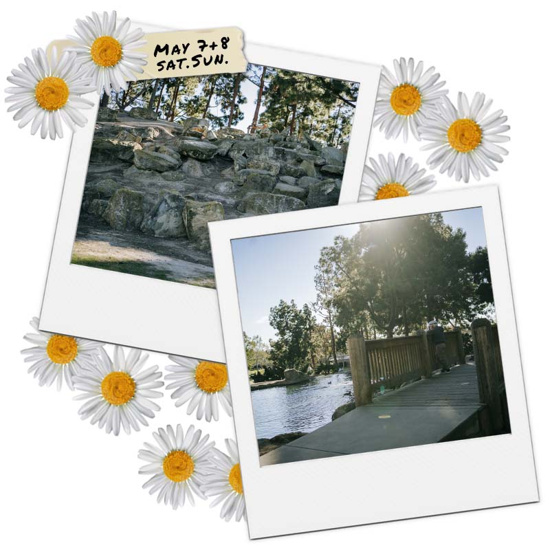 Spring Mini Session with Stephanie Ip Photography