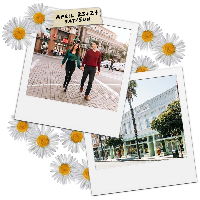 Spring Mini Session with Stephanie Ip Photography